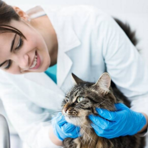 PSICOLOGIA DO TRABALHO