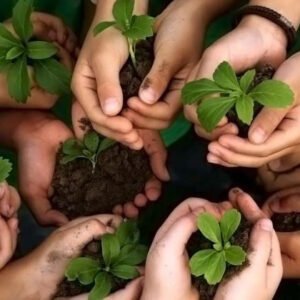 LER E DORT: DA PREVENÇÃO AO TRATAMENTO