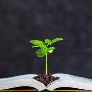 EDUCAÇÃO DE JOVENS E ADULTOS EM ENSINO DE MATEMÁTICA