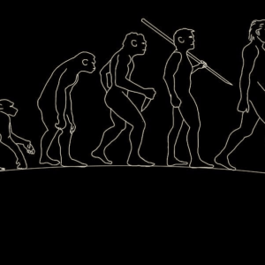 ESTUDOS LINGUÍSTICOS E LITERÁRIOS