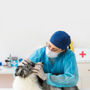 GEOMETRIA ANALÍTICA E ÁLGEBRA