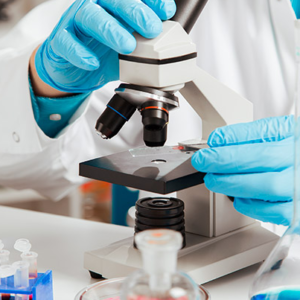 EDUCAÇÃO FÍSICA ESCOLAR E INFORMÁTICA DA EDUCAÇÃO