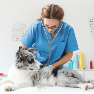 MBA EM ORÇAMENTO E PROJETOS APLICADOS A CONSTRUÇÃO CIVIL