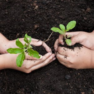 EDUCAÇÃO INFANTIL, ANOS INICIAIS E EDUCAÇÃO INCLUSIVA