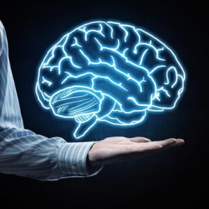 GESTÃO DE BIBLIOTECAS ESCOLARES