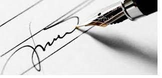 ENSINO DE BIOLOGIA E CIÊNCIAS