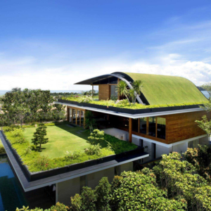 DOCÊNCIA DO ENSINO EM DIREITOS HUMANOS