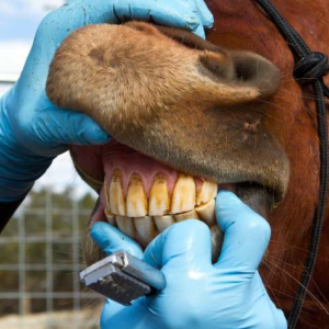 MBA EXECUTIVO EM GESTÃO DE SAÚDE SUPLEMENTAR