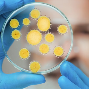 DOCÊNCIA EM CONTABILIDADE PÚBLICA