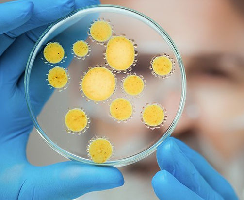 DOCÊNCIA EM CONTABILIDADE PÚBLICA