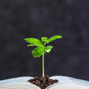 EDUCAÇÃO INCLUSIVA E PROJETOS SOCIAIS