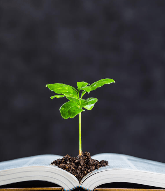 ENFERMAGEM EM ESTOMATERAPIA