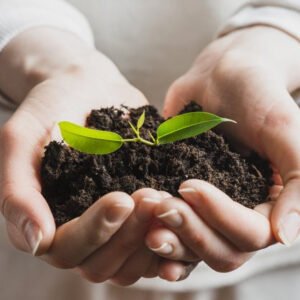 DIREITO EDUCACIONAL E TRABALHISTA EDUCACIONAL