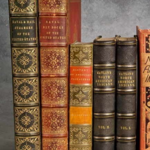 ANÁLISE NUMÉRICA NA DINÂMICA COMBINATÓRIA