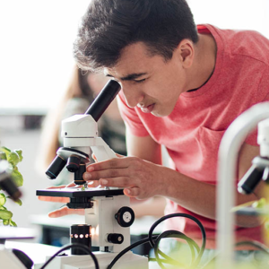 GESTÃO ELETRÔNICA DE DOCUMENTOS - ORGANIZAÇÕES PRIVADAS