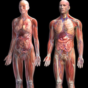 GESTÃO AMBIENTAL DE EMPRESAS