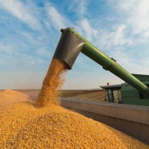 PSICANÁLISE DOS CONTOS DE FADA