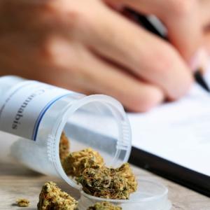 GEOGRAFIA FÍSICA E DAS POPULAÇÕES