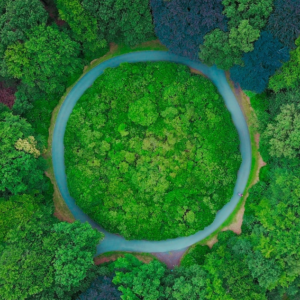 GESTÃO DE PROJETOS E PROGRAMAS SOCIAIS