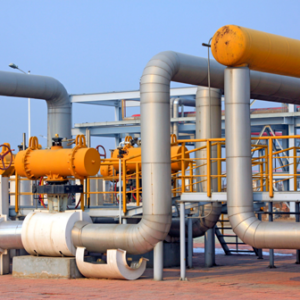 EDUCAÇÃO FÍSICA ADAPTADA A INCLUSÃO