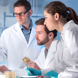 SAÚDE DO ADOLESCENTE