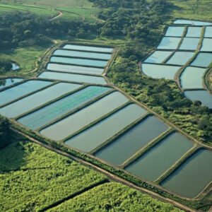 PSICOPEDAGOGIA EDUCACIONAL