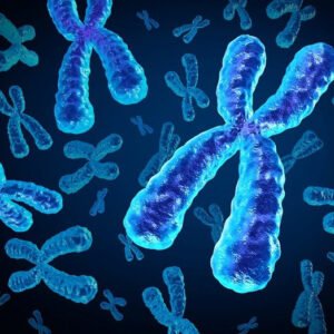 EXERCÍCIO FÍSICO NOS DISTÚRBIOS DA COLUNA VERTEBRAL