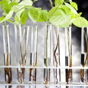 DIREITO TRABALHISTA PENAL