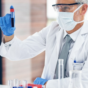 EDUCAÇÃO INFANTIL E ENSINO FUNDAMENTAL