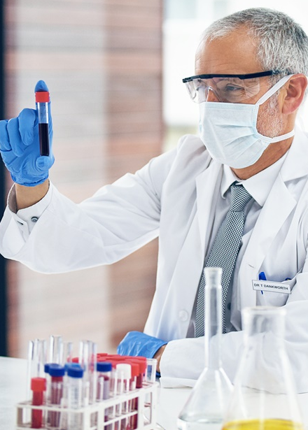 EDUCAÇÃO INFANTIL E ENSINO FUNDAMENTAL