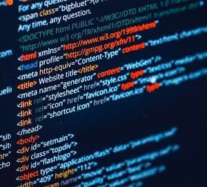 EDUCAÇÃO INFANTIL E ALFABETIZAÇÃO