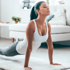 NUTRIÇÃO EM CÃES E GATOS