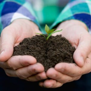 TRATAMENTO DO TRANSTORNO BIPOLAR