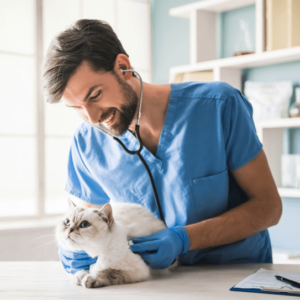 GESTÃO DA COMUNICAÇÃO ORGANIZACIONAL INTEGRADA