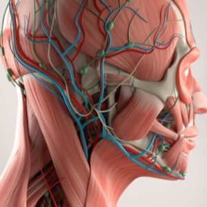 INTELIGÊNCIA E GESTÃO ESTRATÉGICA