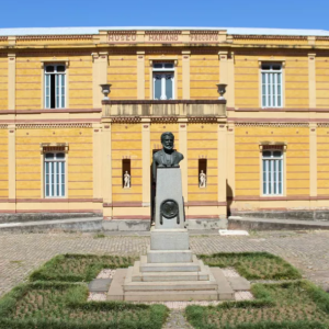 GESTÃO DO SUS E SERVIÇO SOCIAL