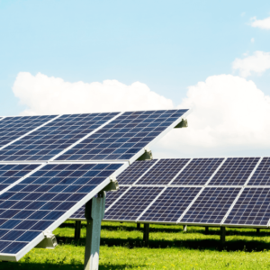 SAÚDE DO TRABALHADOR