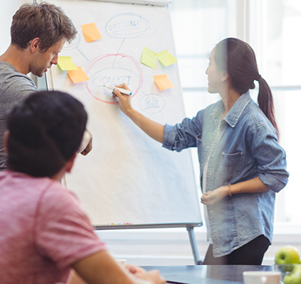 DEFICIÊNCIAS INTELECTUAIS E MÚLTIPLAS