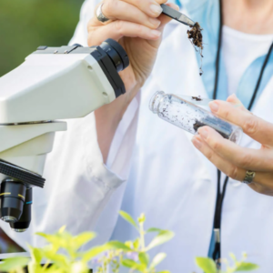 SEGURANÇA DO TRABALHO E GESTÃO AMBIENTAL