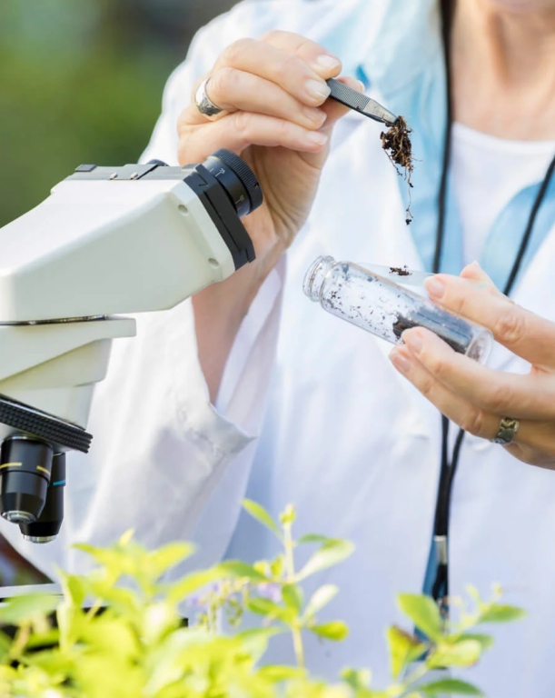 MBA EM GESTÃO DA QUALIDADE