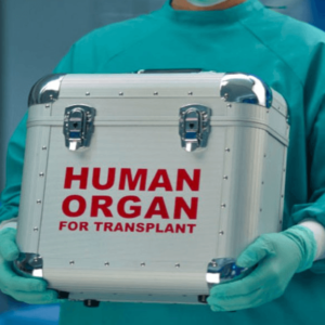 TREINAMENTO DESPORTIVO E EDUCAÇÃO FÍSICA ESCOLAR