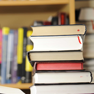 RECUPERAÇÃO AMBIENTAL DE ÁREAS DEGRADADAS E CONTAMINADAS