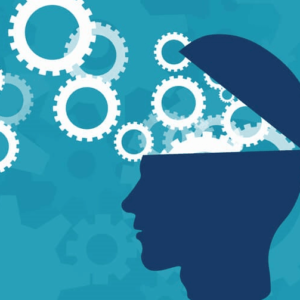 FORMAÇÃO DE DOCENTES