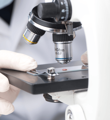 PSICOMOTRICIDADE INSTITUCIONAL, CLÍNICA E TGD/TEA