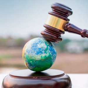 HOMEOPATIA APLICADA AOS ANIMAIS