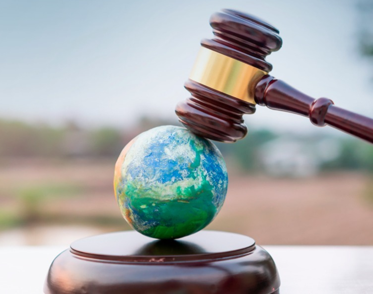 HOMEOPATIA APLICADA AOS ANIMAIS