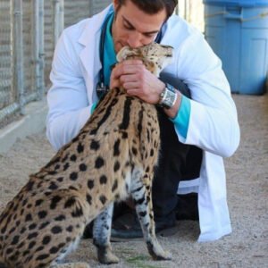 MBA EXECUTIVO EM GESTÃO ESTRATÉGICA DE MÍDIA DIGITAL