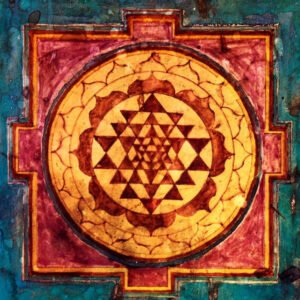 MEIO AMBIENTE E SUSTENTABILIDADE