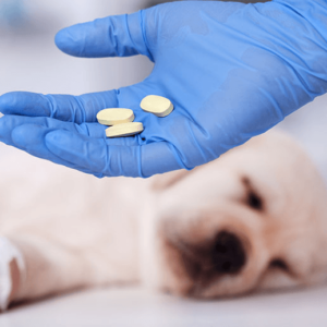 ESTATÍSTICA APLICADA