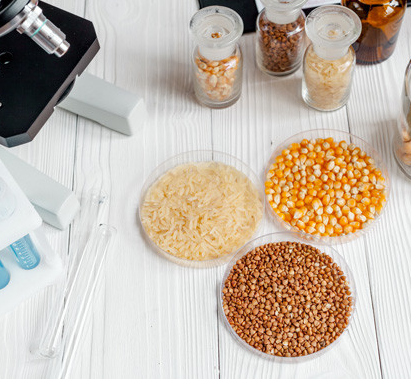 TGD/ TEA E COMUNICAÇÃO ALTERNATIVA